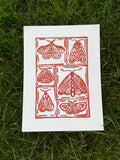 moth print