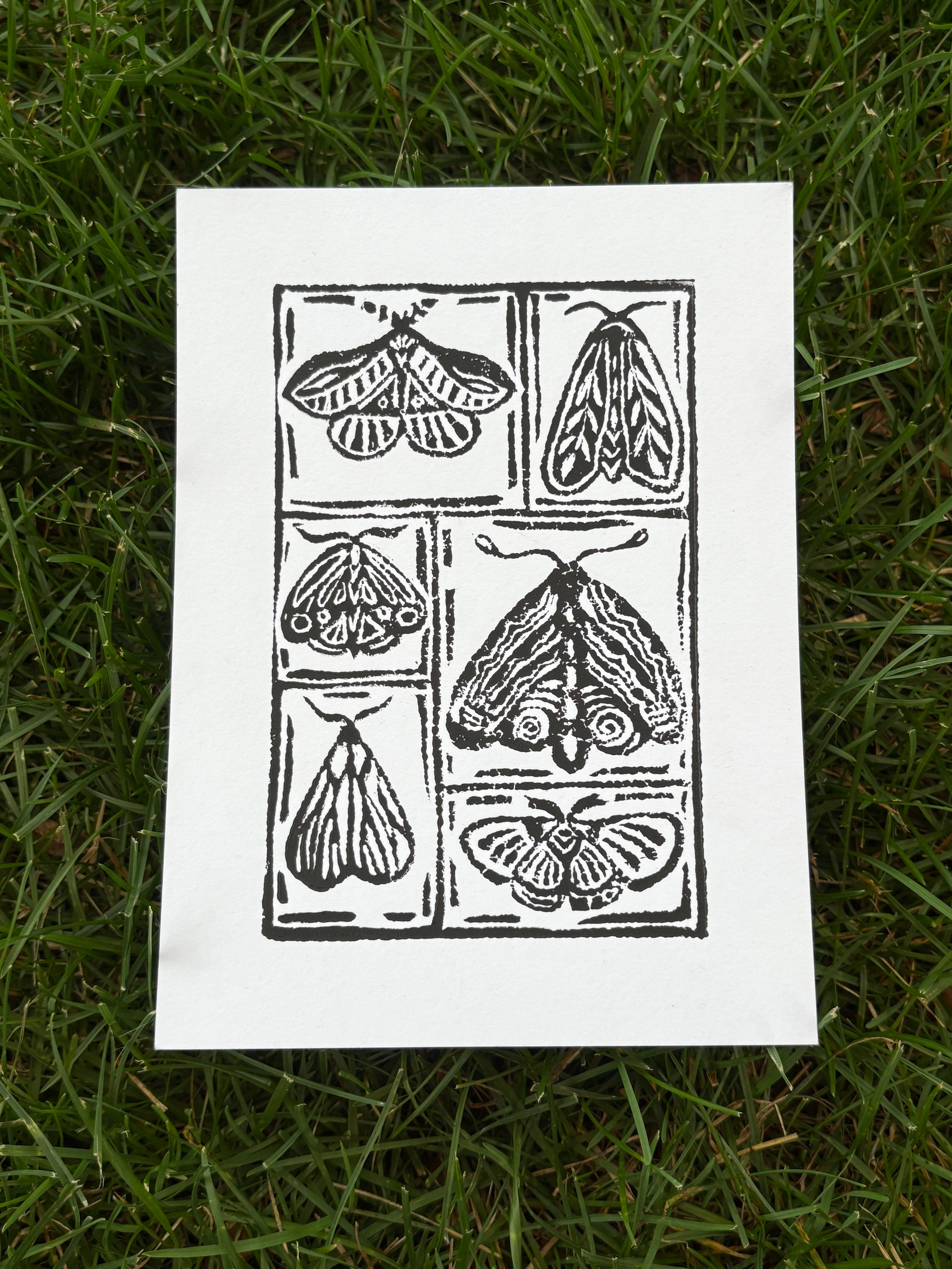 moth print
