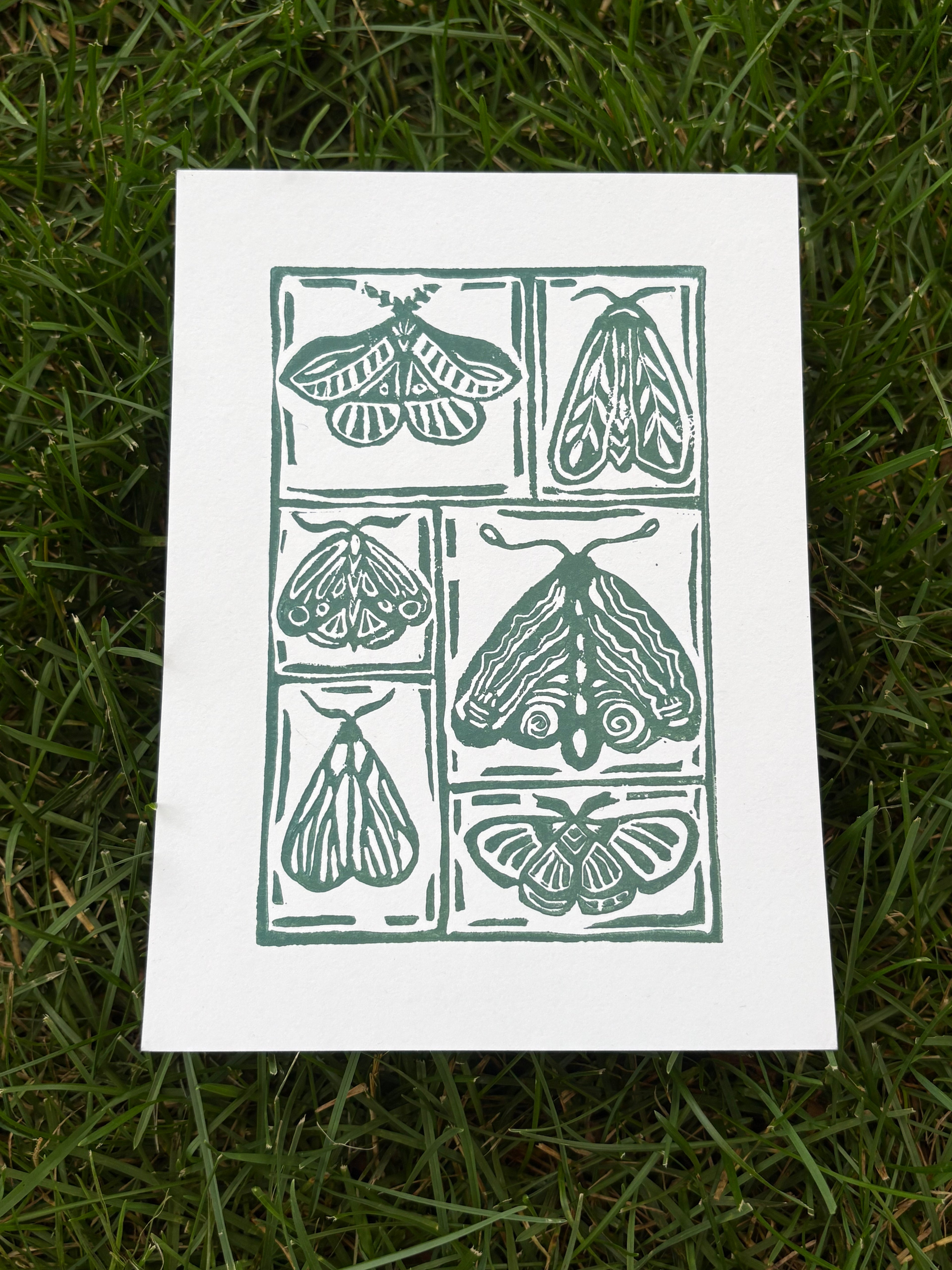 moth print