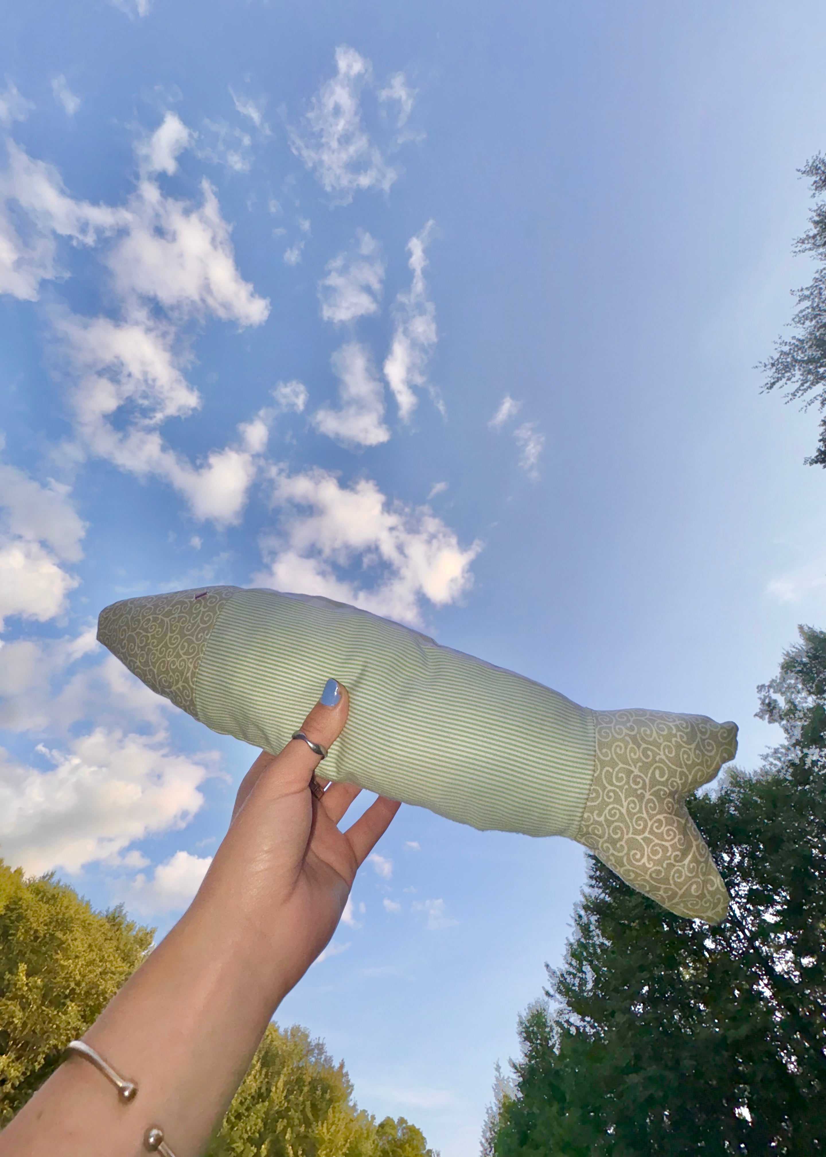 scrappy fish