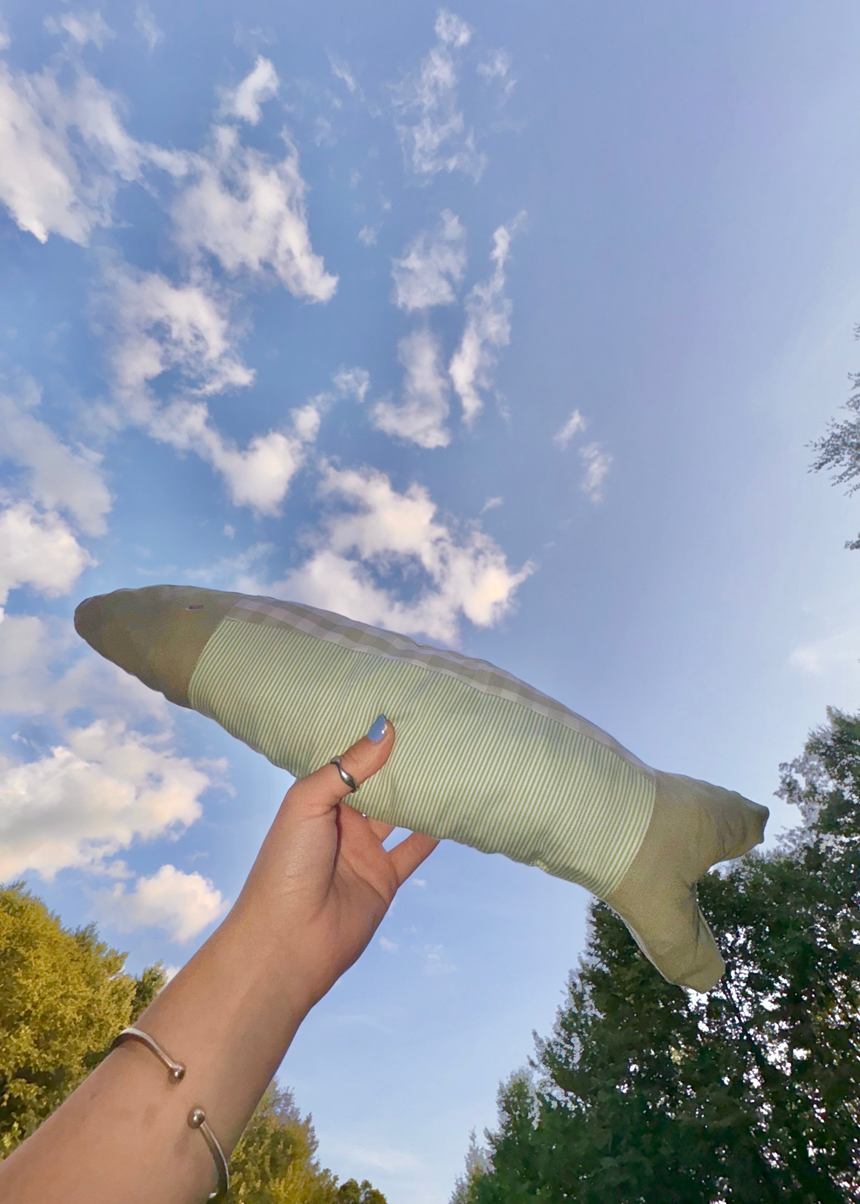 scrappy fish